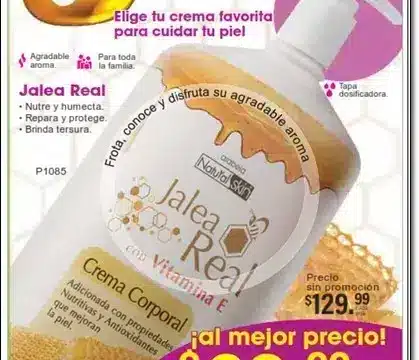 Nuevo Catálogo Arabela Campaña 8 2025 MX