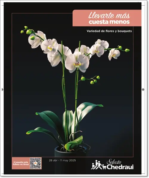 Folleto Chedraui Selecto Dia de las Madres 2025
